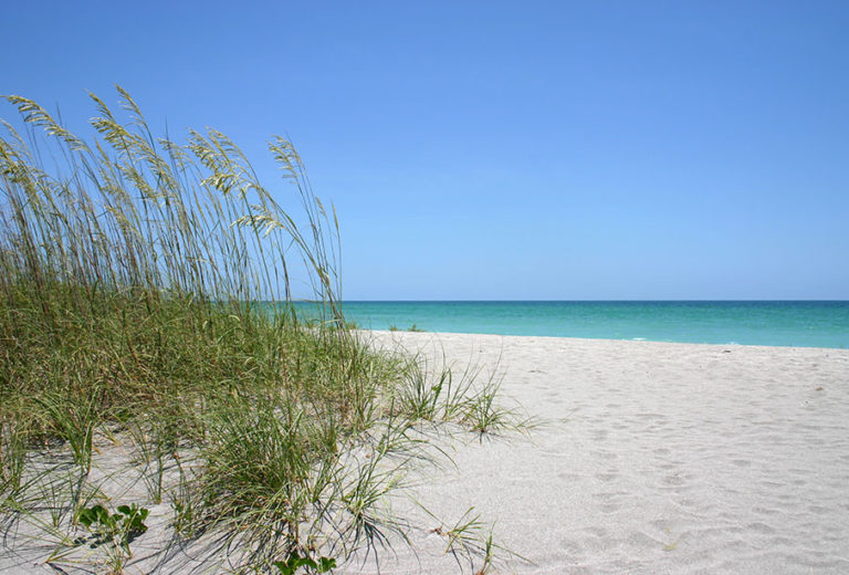 sarasota-outdoor-lighting-coastal-environment-x905